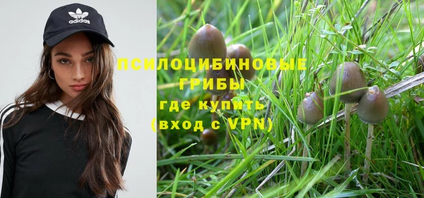 мет Баксан