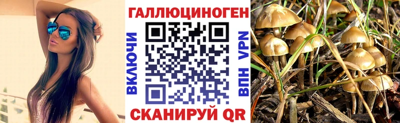 Псилоцибиновые грибы Psilocybe  сайты даркнета Telegram  Отрадная 